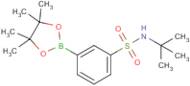 3-[N-(tert-Butyl)sulfamoyl]phenylboronic acid Pinacol Ester