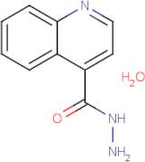 Quinoline-4-carbohydrazide Hydrate