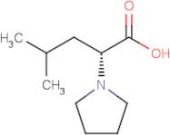 (R)-4-Methyl-2-(1-pyrrolidinyl)pentanoic acid