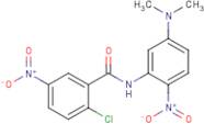 2-Chloro-N-[5-(dimethylamino)-2-nitrophenyl]-5-nitrobenzamide