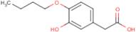 4-Butoxy-3-hydroxyphenylacetic acid