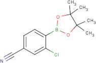 2-Chloro-4-cyanophenylboronic acid Pinacol Ester