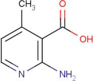 2-Amino-4-methylnicotinic acid