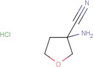 3-Aminotetrahydrofuran-3-carbonitrile hydrochloride