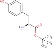 L-Tyrosine tert-butyl ester