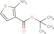 tert-Butyl 2-aminothiophene-3-carboxylate