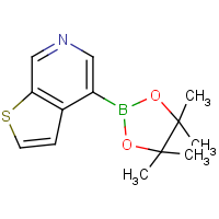 Thieno[2,3-c]pyridine-4-boronic acid, pinacol ester