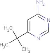 4-Amino-6-(tert-butyl)pyrimidine