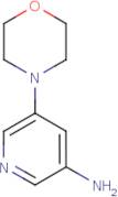 5-Morpholinopyridin-3-amine