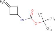 (3-Methylenecyclobutyl)carbamic acid tert butyl ester