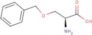 (2S)-2-Amino-3-benzyloxypropanoic acid