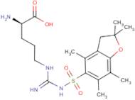 (2R)-2-amino-5-[[N-[(2,2,4,6,7-pentamethyl-3H-benzofuran-5-yl)sulfonyl]carbamimidoyl]amino]pentanoic acid