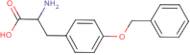 2-amino-3-(4-benzyloxyphenyl)propanoic acid