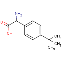 2-Amino-2-(4-tert-butylphenyl)acetic acid