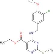 Ethyl 4-[(3-chloro-4-methoxybenzyl)amino]-2-(methylthio)pyrimidine-5-carboxylate