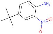 4-(tert-Butyl)-2-nitroaniline