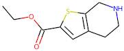 Ethyl 4,5,6,7-tetrahydrothieno[2,3-c]pyridine-2-carboxylate