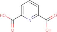 Pyridine-2,6-dicarboxylic acid