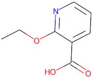 2-Ethoxynicotinic acid