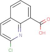 2-Chloroquinoline-8-carboxylic acid