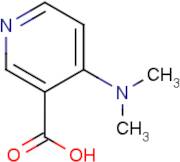 4-(Dimethylamino)nicotinic acid