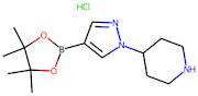 1-(Piperidin-4-yl)-1H-pyrazole-4-boronic acid, pinacol ester hydrochloride