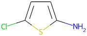 5-Chlorothiophen-2-amine