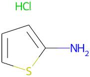 Thiophen-2-amine hydrochloride