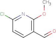6-Chloro-2-methoxynicotinaldehyde