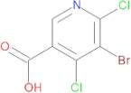 5-Bromo-4,6-dichloronicotinic acid