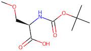 Boc-O-Methyl-D-serine