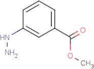 Methyl 3-hydrazinobenzoate