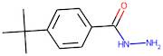 4-(tert-Butyl)benzhydrazide