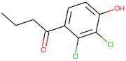 1-(2,3-Dichloro-4-hydroxyphenyl)butan-1-one