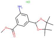 3-Amino-5-(methoxycarbonyl)benzeneboronic acid pinacol ester hydrochloride