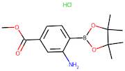 2-Amino-4-(methoxycarbonyl)benzeneboronic acid, pinacol ester hydrochloride