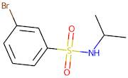 3-Bromo-N-isopropylbenzenesulphonamide