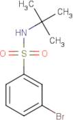 3-Bromo-N-(tert-butyl)benzenesulphonamide