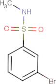 3-Bromo-N-methylbenzenesulphonamide