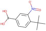 4-tert-Butyl-3-nitrobenzeneboronic acid