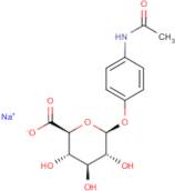 4-Acetamidophenyl beta-D-glucuronide, sodium salt
