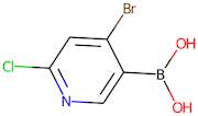 4-Bromo-2-chloropyridine-5-boronic acid