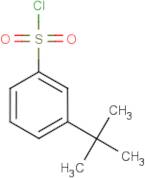 3-(tert-Butyl)benzenesulphonyl chloride