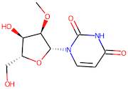 2'-O-Methyluridine