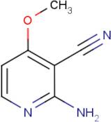 2-Amino-4-methoxynicotinonitrile
