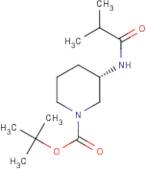 (3S)-3-(Isobutanoylamino)piperidine, N1-BOC protected