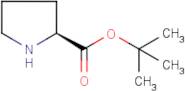 tert-Butyl (2S)-pyrrolidine-2-carboxylate