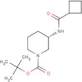 (3S)-3-[(Cyclobutylcarbonyl)amino]piperidine, N1-BOC protected