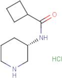 N-[(3S)-(Piperidin-3-yl)]cyclobutanecarboxamide hydrochloride