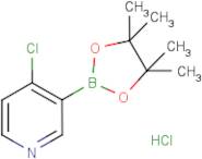 4-Chloropyridine-3-boronic acid, pinacol ester hydrochloride